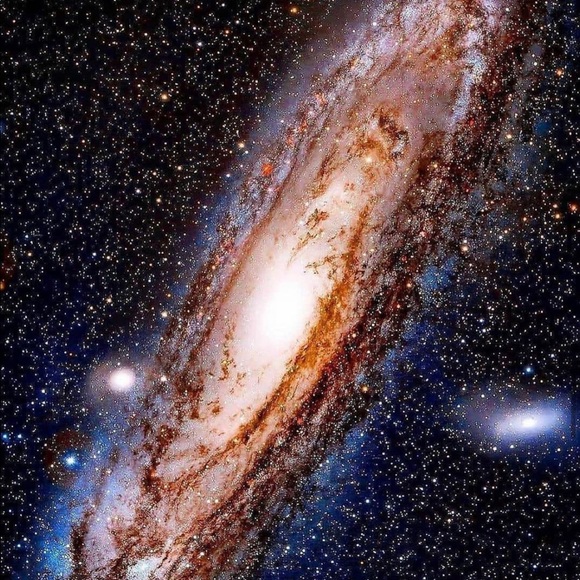 Meet your Posher, Fin - Picture 1 of 1